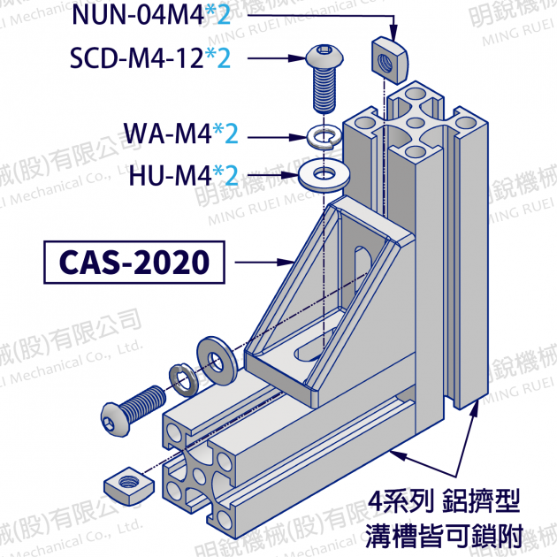 CAS-2020 3